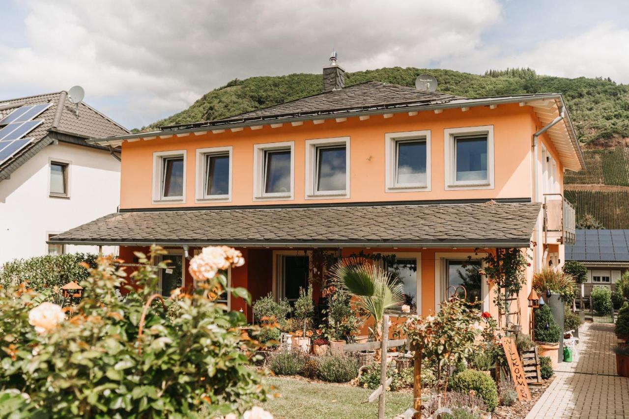 Wein- Und Gaestehaus Schwaab&Sohn Ерден Екстериор снимка