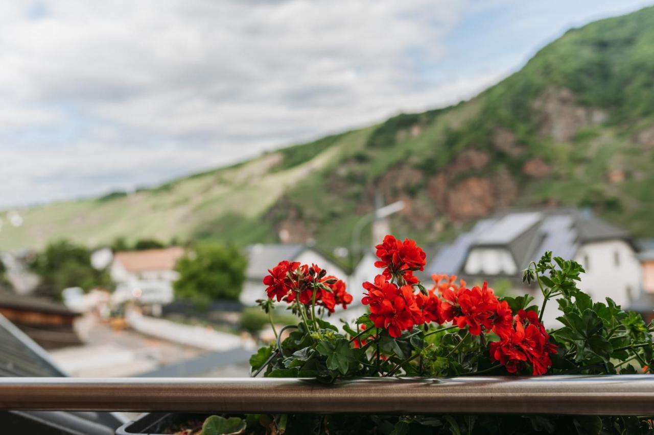 Wein- Und Gaestehaus Schwaab&Sohn Ерден Екстериор снимка